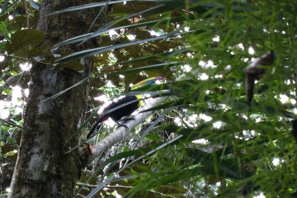 Travel: Panama & Costa Rica Day 1, Part 1